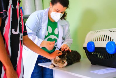 Nilópolis promove 'Dia D da Vacinação Antirrábica' neste sábado (01/10)
