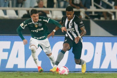 Tiquinho Soares marca golaço, mas Botafogo perde para o Palmeiras no Nilton Santos