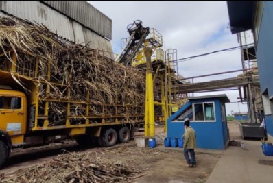 Usina confirma influencia de início do fim da safra na desaceleração da geração de empregos