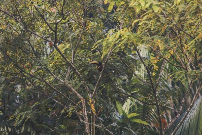 O risco  dos lixos eletrônicos