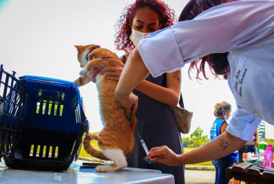 'Dia D' de Vacinação Antirrábica em Nilópolis teve mais de 15 mil animais imunizados
