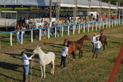 Exibição do Cavalo Mangalarga Marchador começa nesta quinta (6), em Cabo Frio