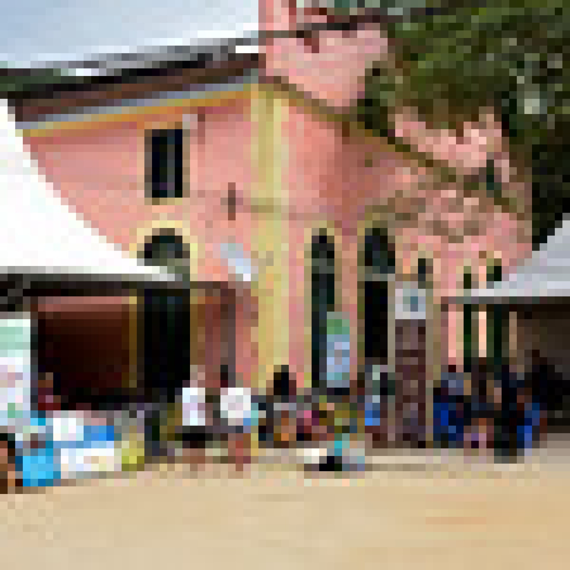 Castra&ccedil;&atilde;o de animais na Vila do Abra&atilde;o, Ilha Grande.