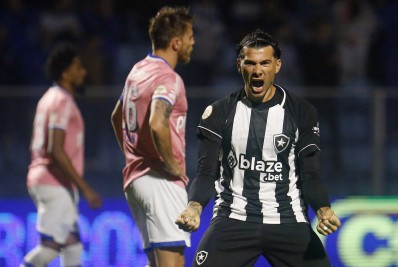 Botafogo vence o Avaí de virada e sobe na tabela do Brasileirão