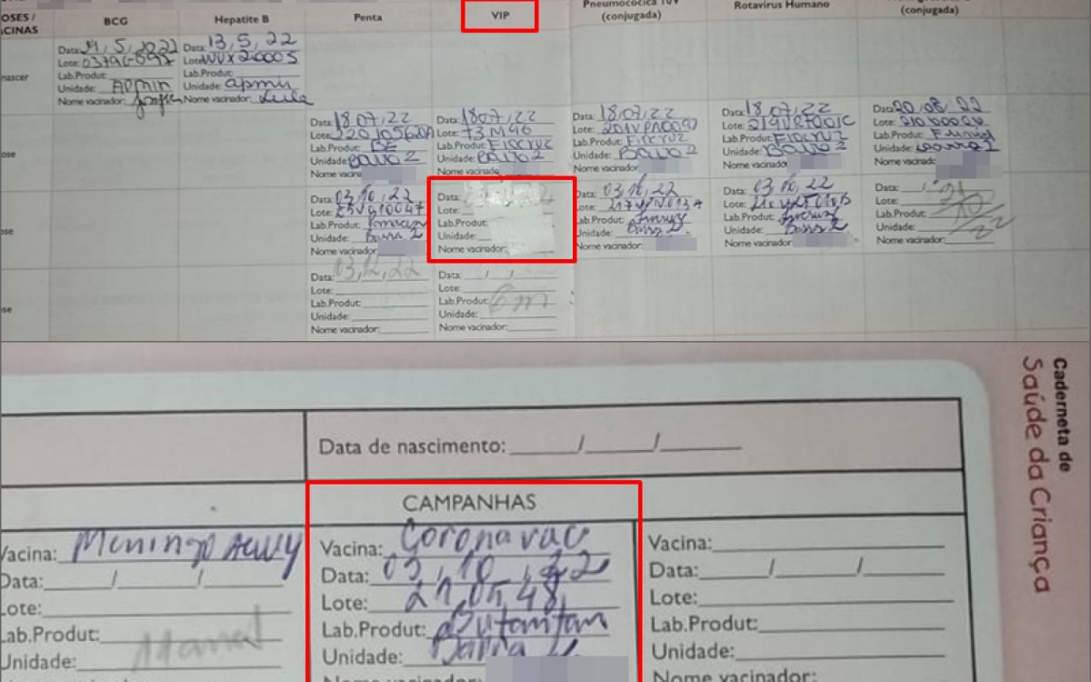 Cartão de vacina foi rasurado; vacina da coronavac foi anotada na área de Campanhas - Divulgação