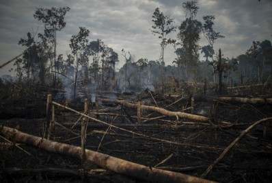 Amazônia tem recorde histórico de desmatamento em setembro, revela Inpe