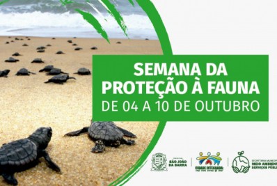 Meio Ambiente realiza ações em orlas litorâneas, voltadas para proteção a ninhos das tartarugas marinhas