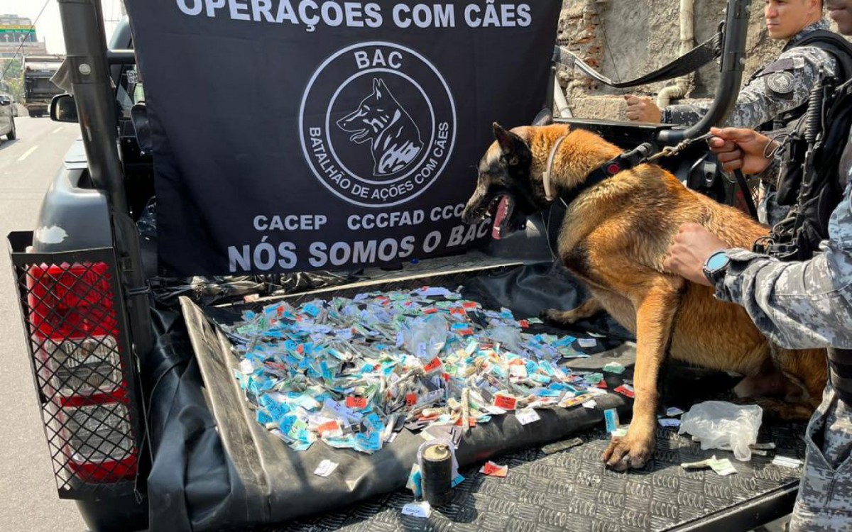 Em ação no Morro do São João, BAC apreendeu grande quantidade de drogas - Divulgação/Polícia Militar