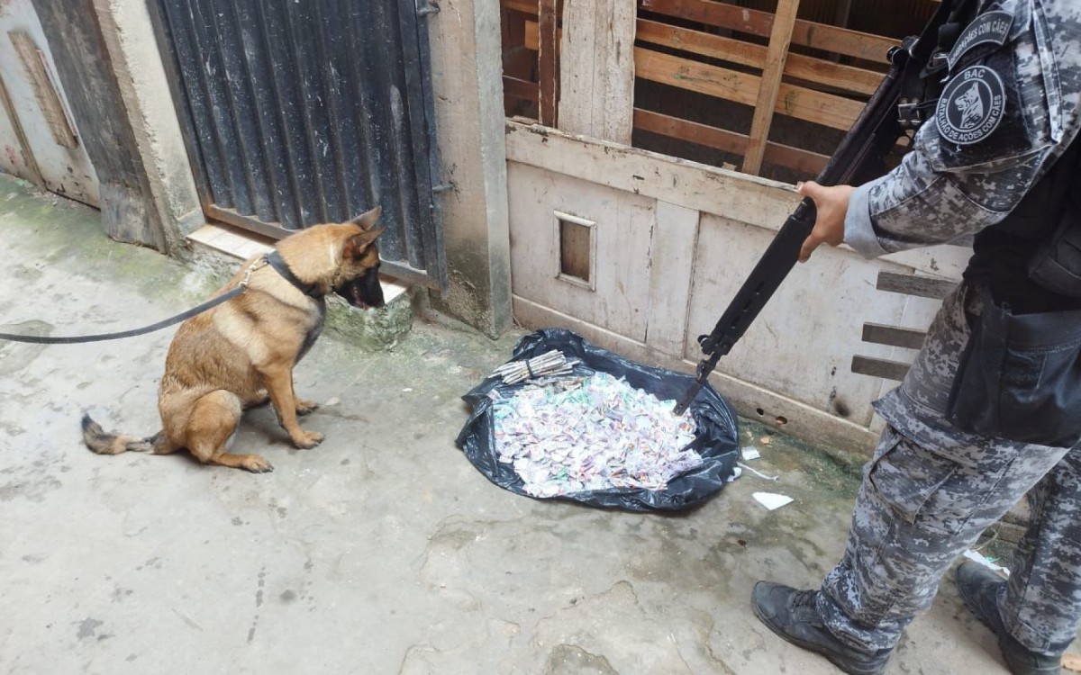PMs do BAC apreenderam drogas durante opera&ccedil;&atilde;o no Morro do S&atilde;o Jo&atilde;o