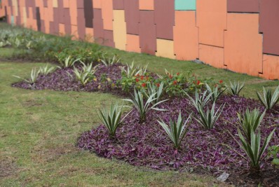 Paisagismo leva mais cores para São Gonçalo