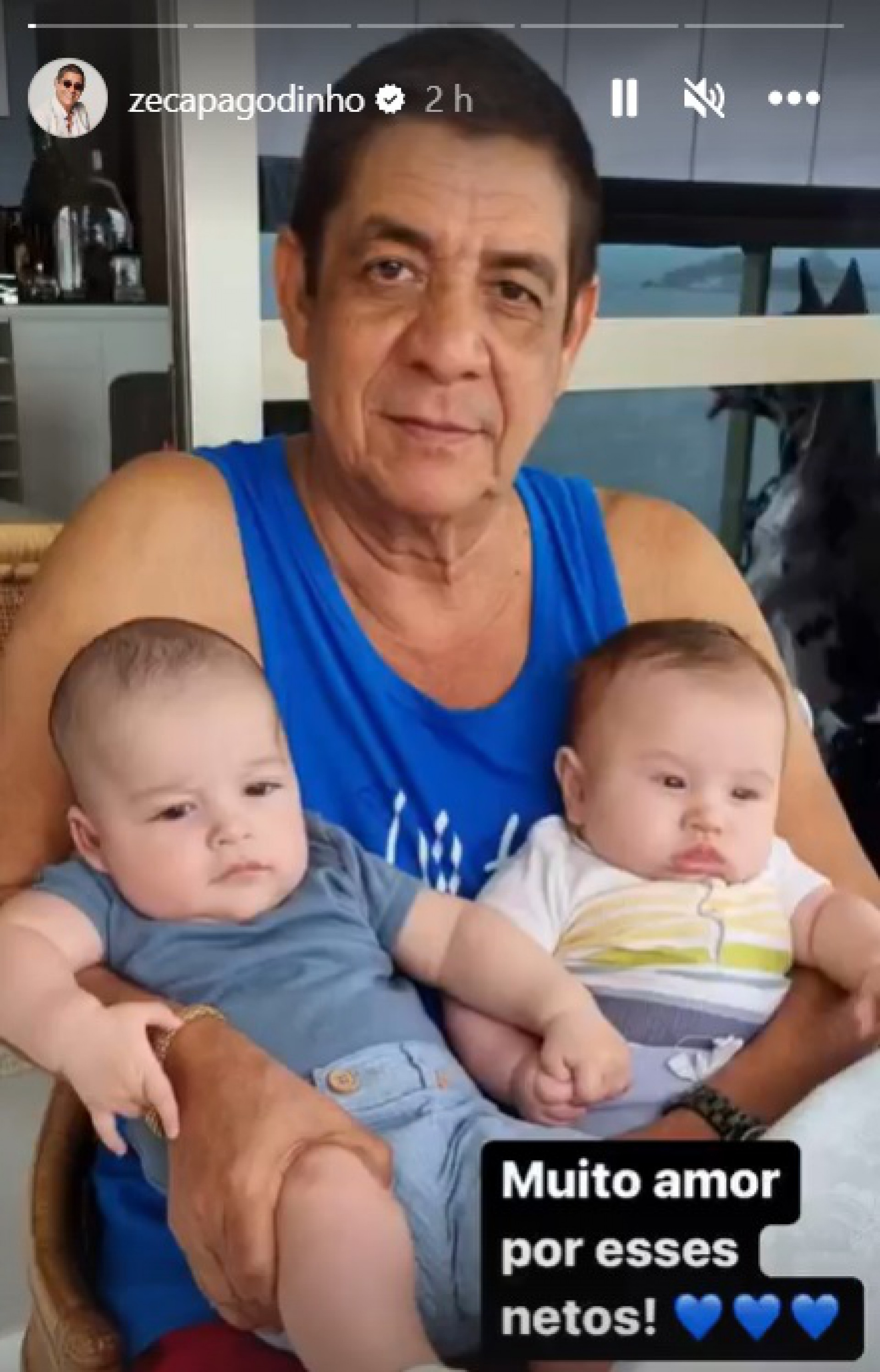 Zeca Pagodinho publica fotos ao lado dos netos - Reprodução do Instagram