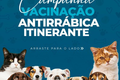 Campanha de Vacinação Antirrábica acontece nesta quinta-feira (13) em Vilar dos Teles