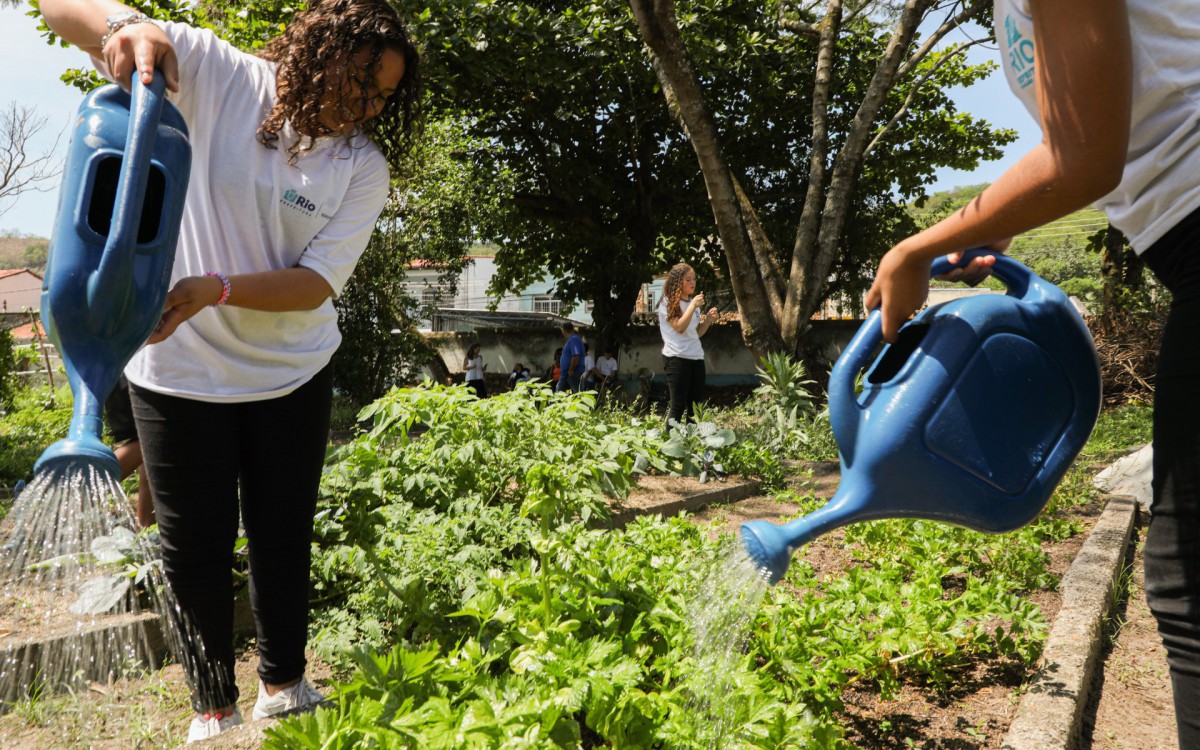 O programa Hortas Escolares atua em 276 unidades municipais do Rio