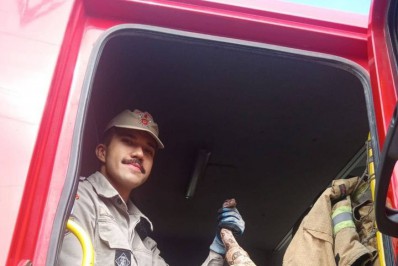 Jiboia é resgatada dentro de quintal em Saquarema 