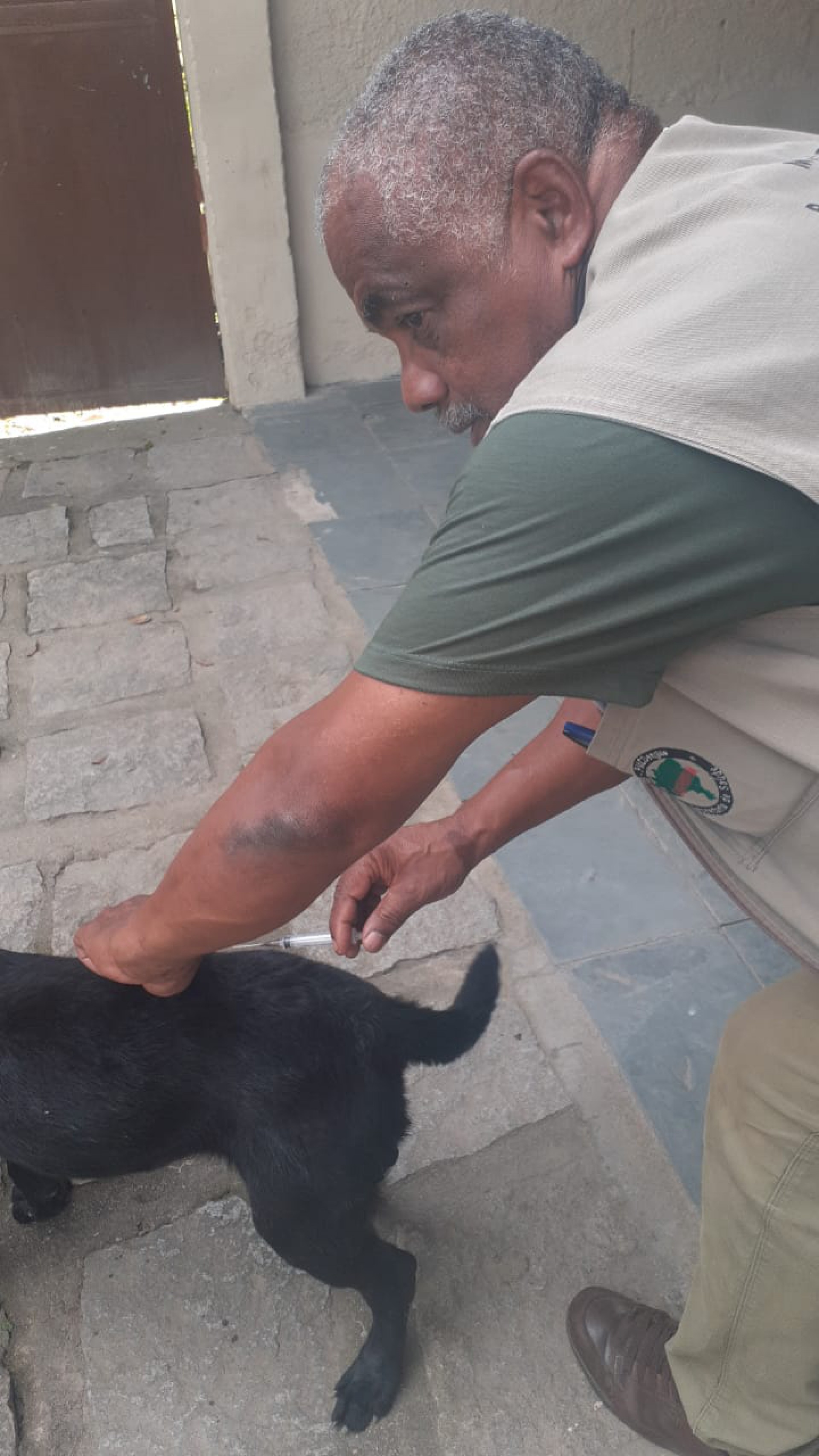 A imuniza&ccedil;&atilde;o protege o animal contra a raiva