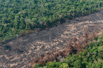 COP27: Brasil apresenta projeto que pode recuperar áreas degradadas