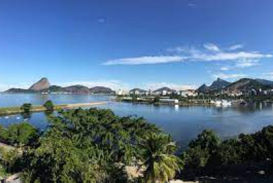 Espécies invasoras ameaçam a fauna e a flora brasileiras