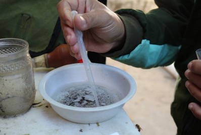 Levantamento aponta bairros com maior risco de dengue