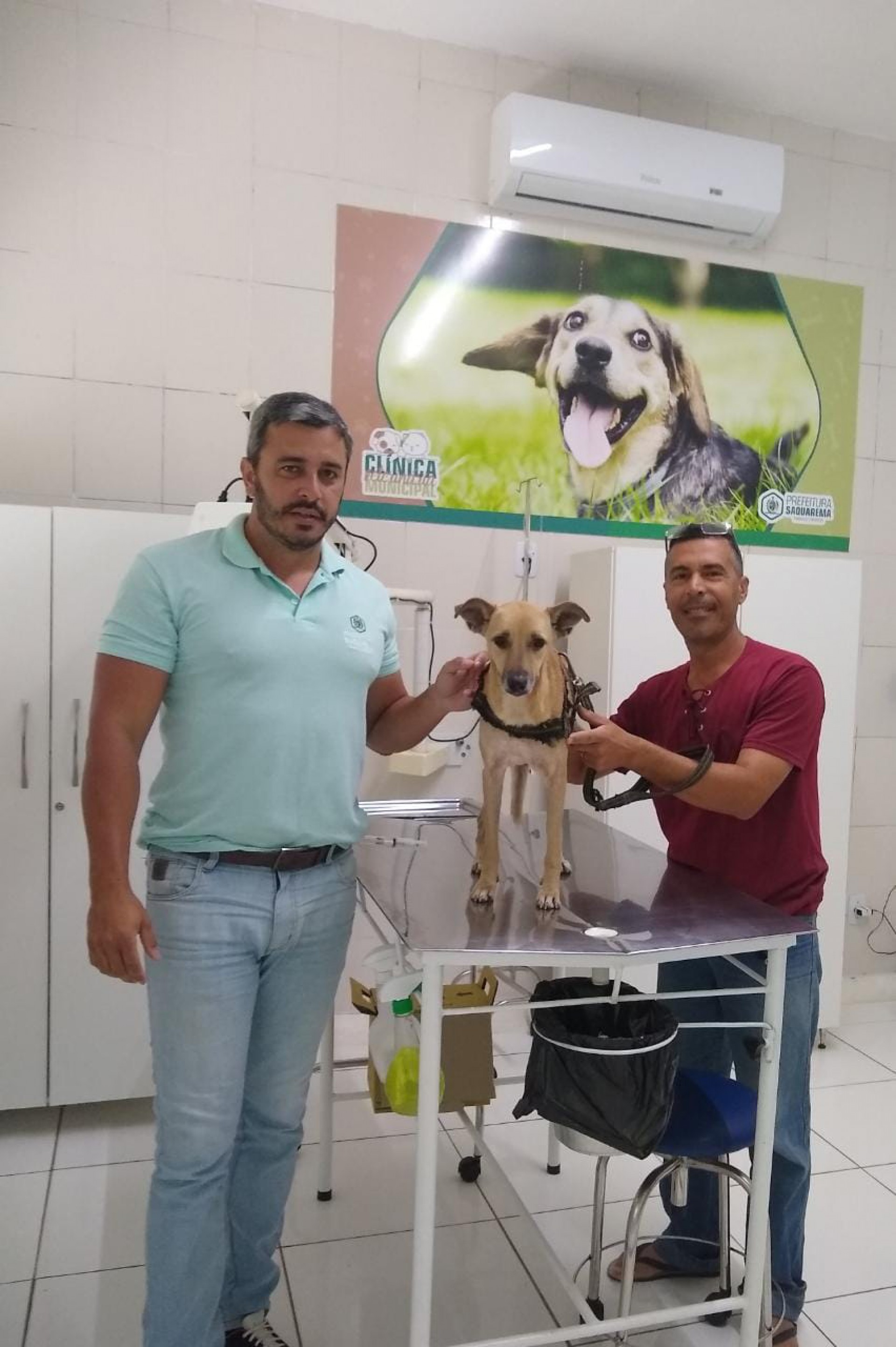 Casa Amiga do Pet vai valorizar os cuidadores de animais soltos ou abandonados no município - Divulgação/Prefeitura de Saquarema