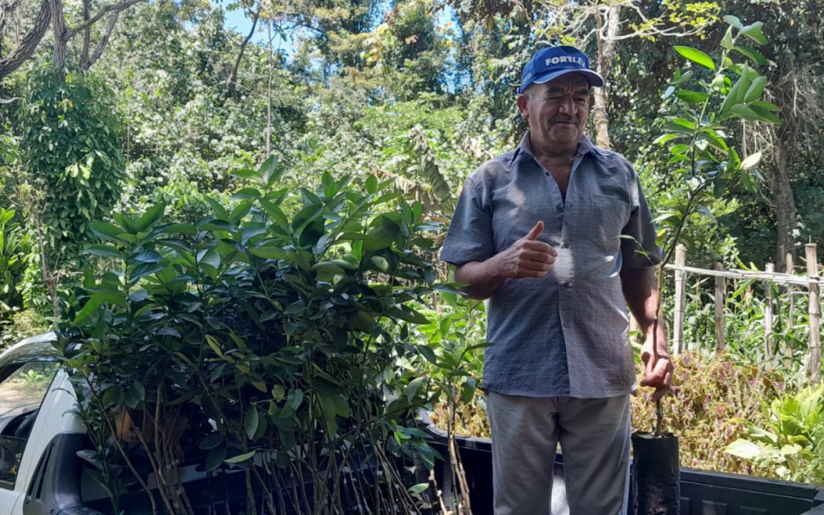 Prefeitura de Saquarema iniciou a distribui&ccedil;&atilde;o de 1.630 mudas de &aacute;rvores frut&iacute;feras para produtores rurais