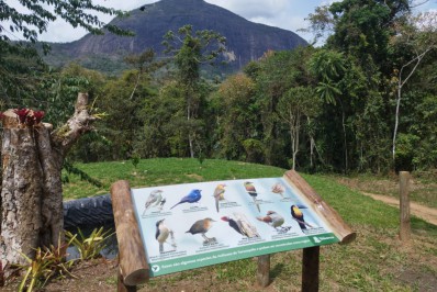 Parque Municipal inicia cadastros no Programa Municipal de Observação de Aves