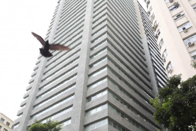 Alerj entrega Prêmio Paulo Freire para projetos inovadores na área de educação