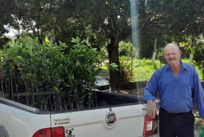 Mais de mil mudas de árvores frutíferas são distribuídas para produtores rurais de Saquarema