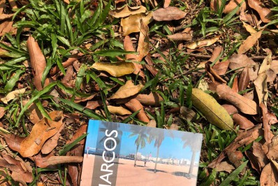 Dia do Poeta será celebrado com distribuição gratuita de livro digital