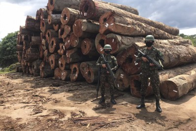 Pesquisa revela que Amazônia tem quase 40% de extração de madeira ilegal