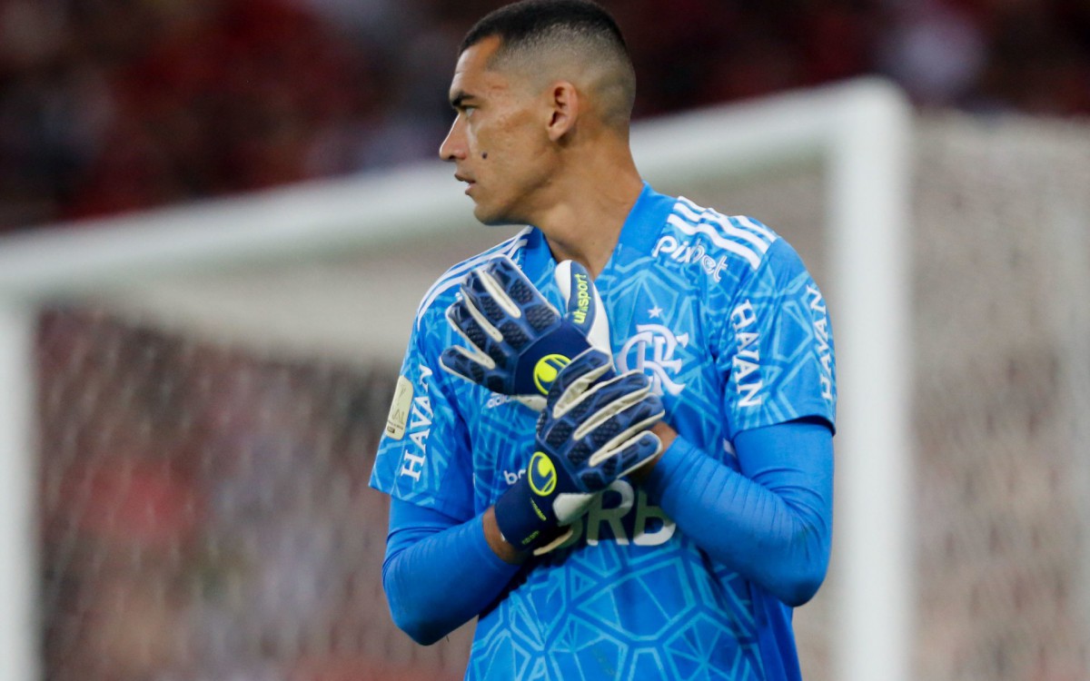 Santos &eacute; goleiro do Flamengo