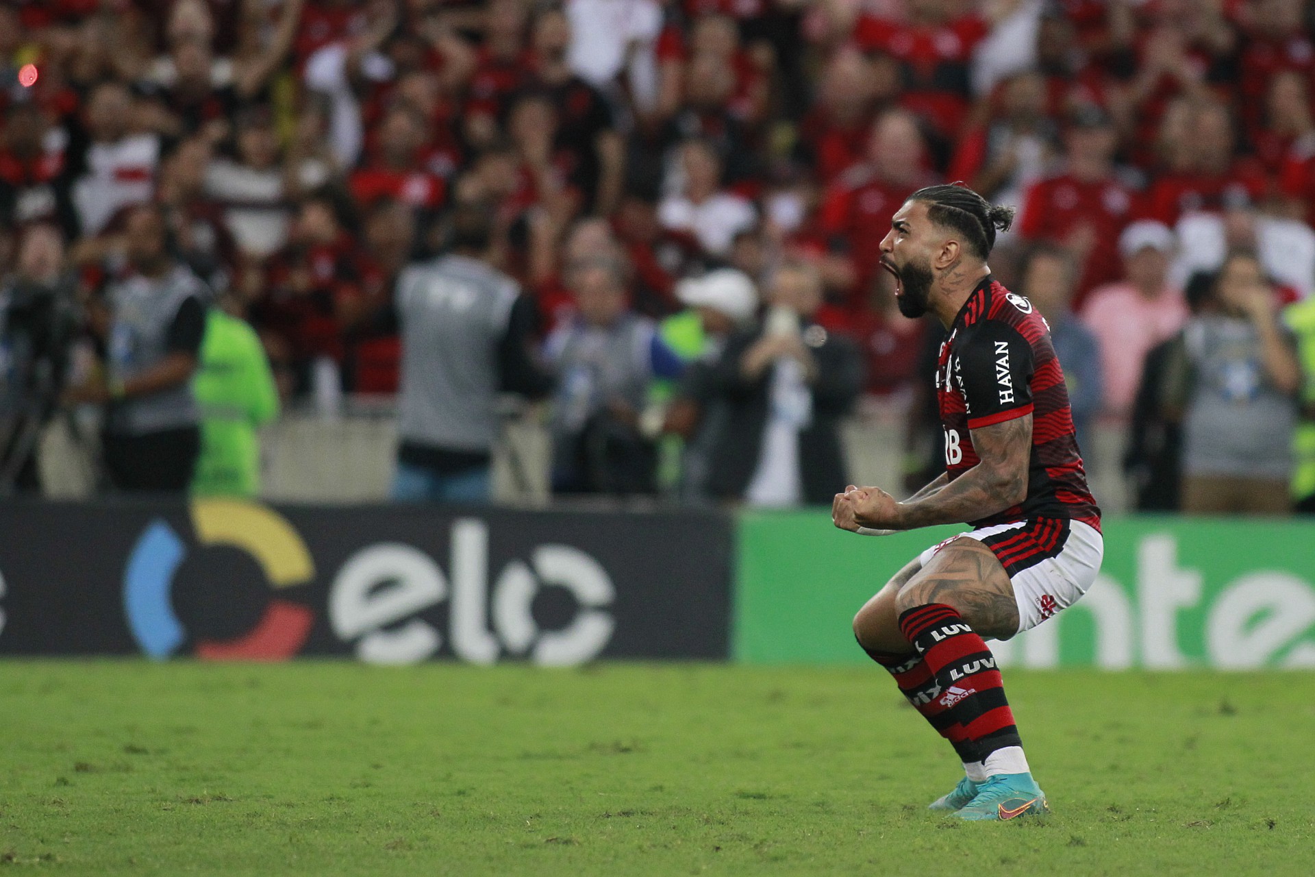 Flamengo conquistou o t&iacute;tulo da Copa do Brasil - Reginaldo Pimenta / Agencia O Dia