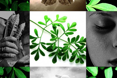 Átila Nunes: O poder das rezadeiras