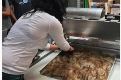 Cabelos humanos usados contra a poluição do Oceano