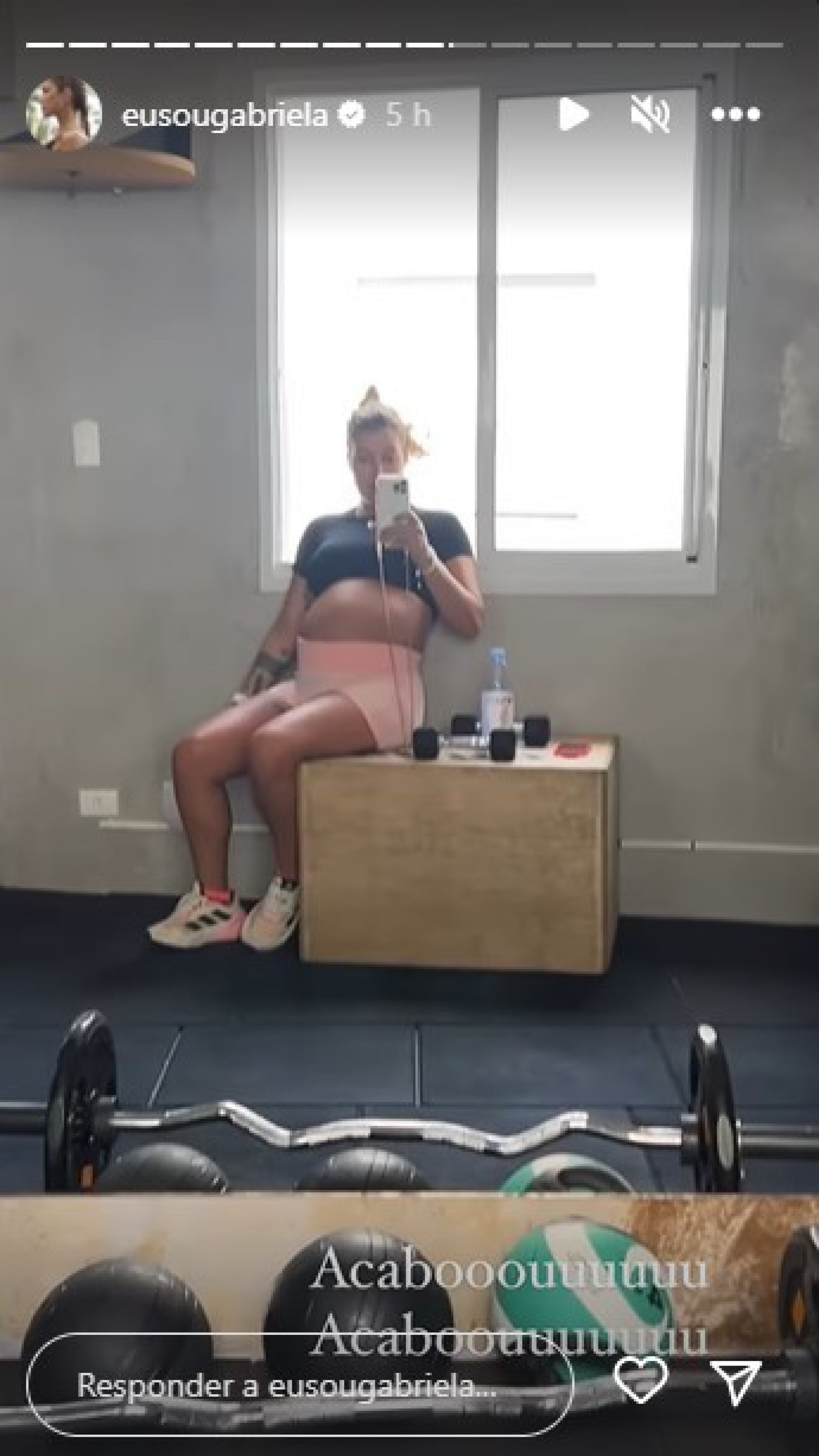 Gabriela Pugliesi mostra ultimos treinos antes do parto de Lion - Reprodução Internet