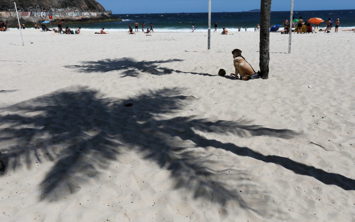 Cariocas aproveitam quarta-feira ensolarada na Praia do Leme - Pedro Ivo / Agência O Dia