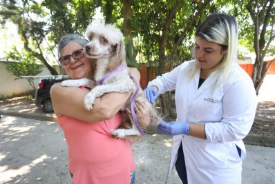 Campanha de vacinação antirrábica em Niterói é um sucesso