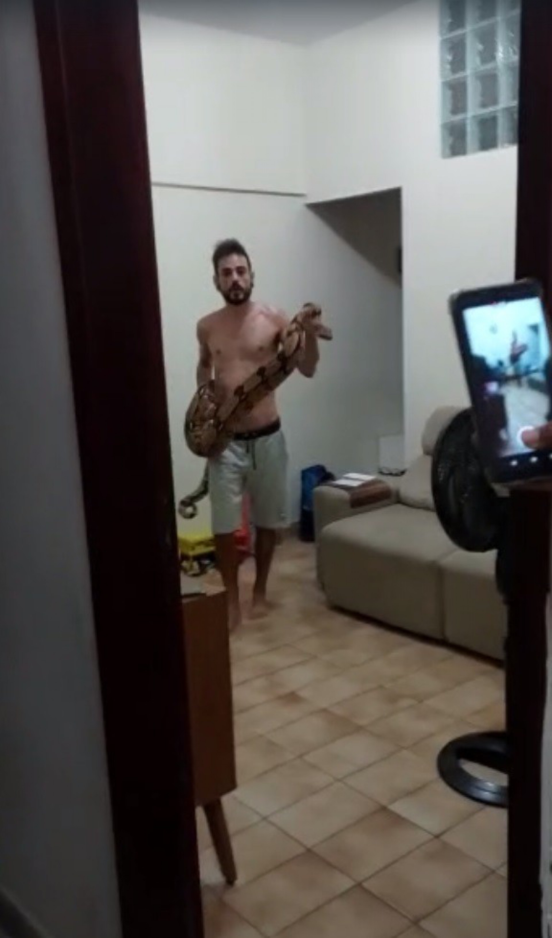 Dono da serpente realizou o resgate do animal, que estava dentro da máquina de lavar em um apartamento vizinho
