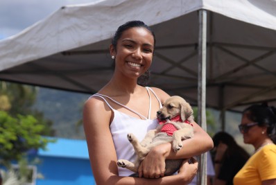 Feira Municipal de Adoção de Animais acontece no próximo sábado (05/11), em Nilópolis