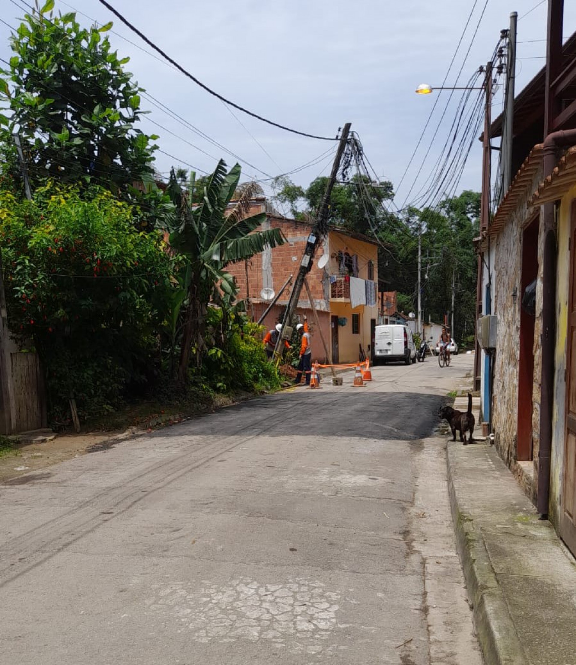 T&eacute;cnicos substituem poste com estrutura inclinada na rua das Brom&eacute;lias.