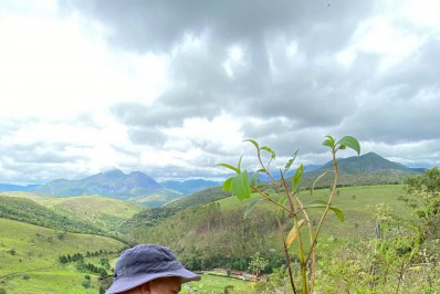 Programa Municipal de Recuperação Florestal já plantou mais de 11 mil mudas em bairros da cidade e do interior