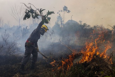 Três em cada quatro hectares desmatados têm indícios de ilegalidade