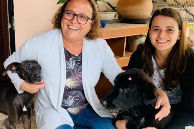 Cadela encontrada amordaçada dentro de mala ganha novo lar e se recupera bem