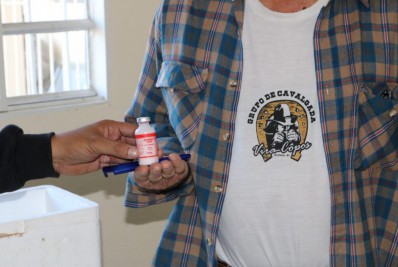 Itatiaia inicia segunda etapa da vacinação contra a febre aftosa