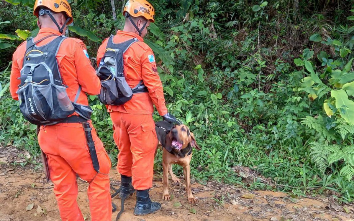 Helicópteros, drones e cães de busca e resgate auxiliam nas buscas - Divulgação/CBMRJ