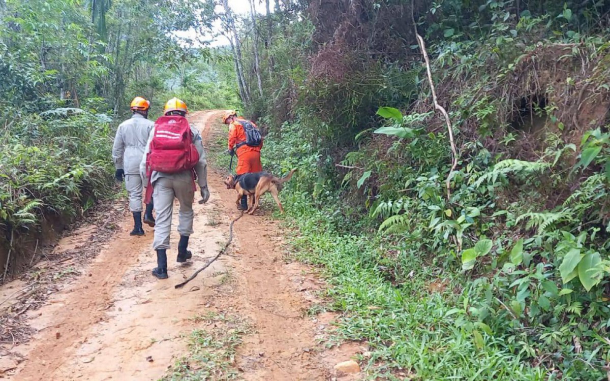 Helicópteros, drones e cães de busca e resgate auxiliam nas buscas - Divulgação/CBMRJ