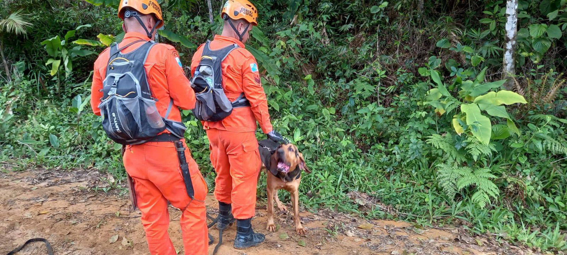 Helicópteros, drones e cães de busca e resgate auxiliam nas buscas - Divulgação/CBMRJ