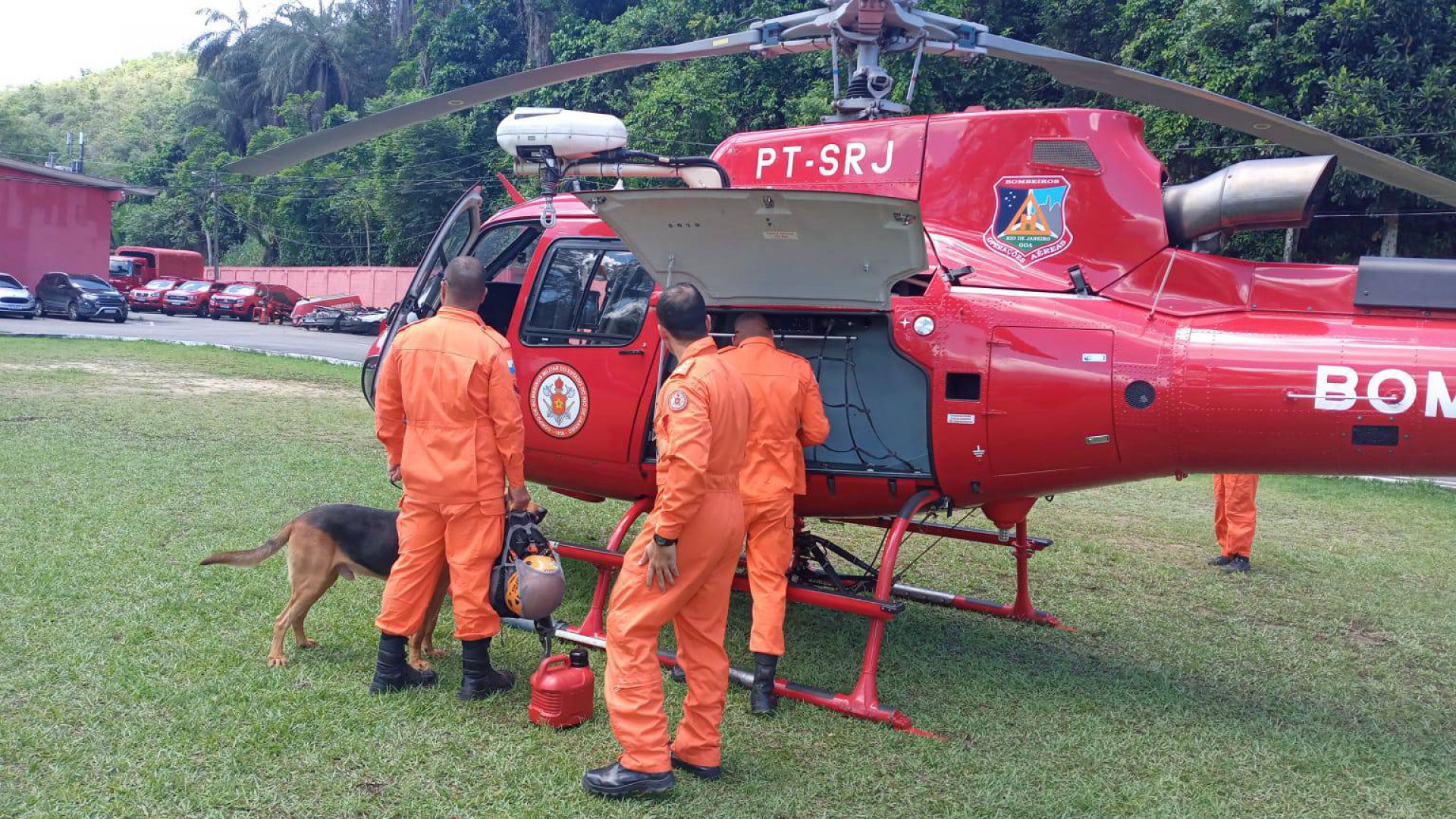 Helicópteros, drones e cães de busca e resgate auxiliam nas buscas - Divulgação/CBMRJ