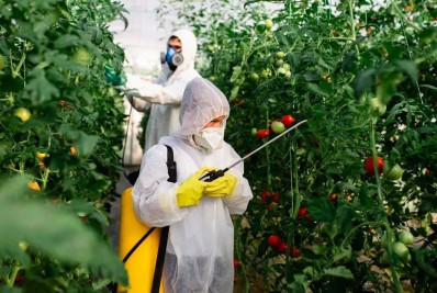 STF: maioria vota por derrubar trechos de decreto sobre agrotóxicos