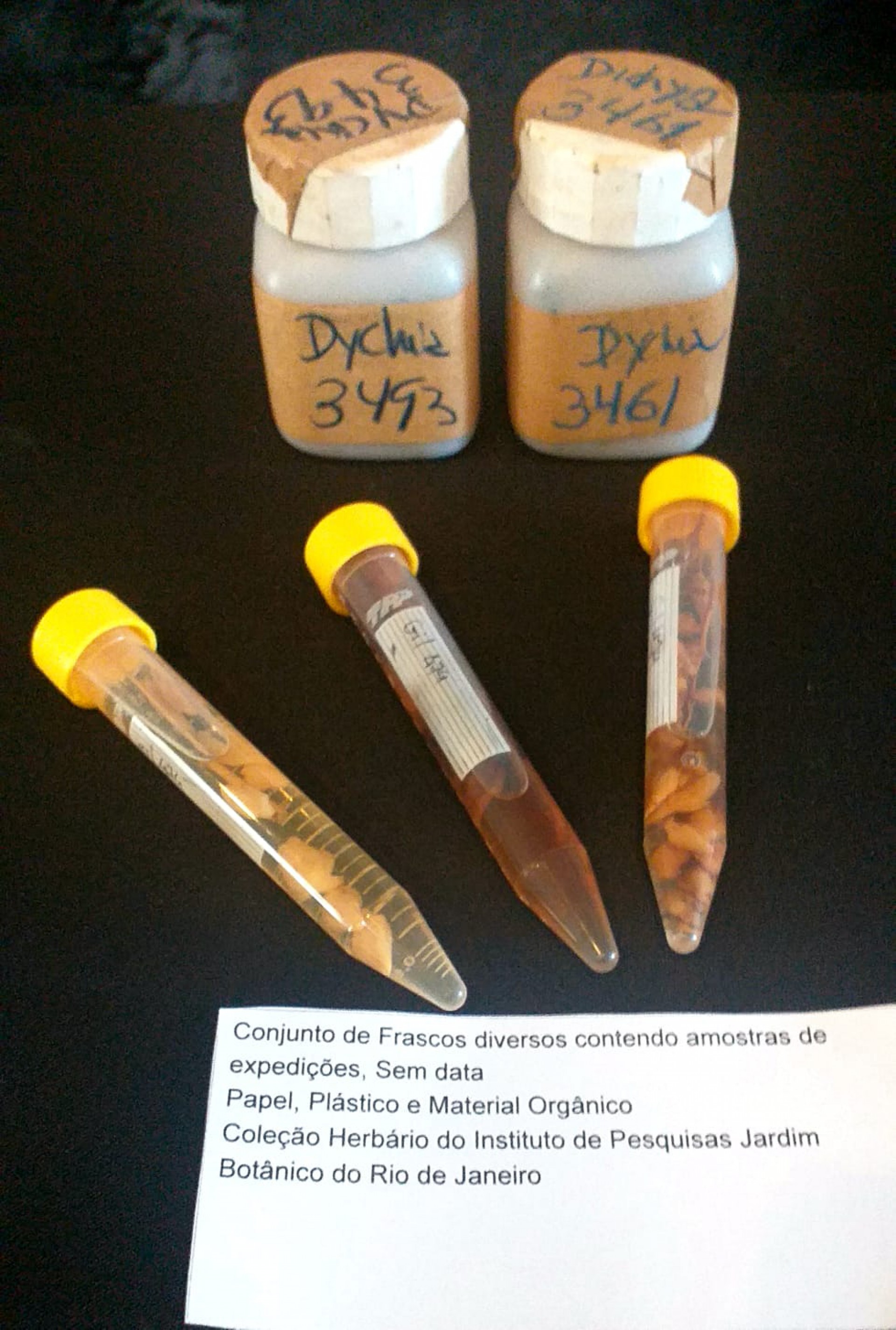 Jardim Botânico promove semana de atividades sobre o Pantanal - Divulgação