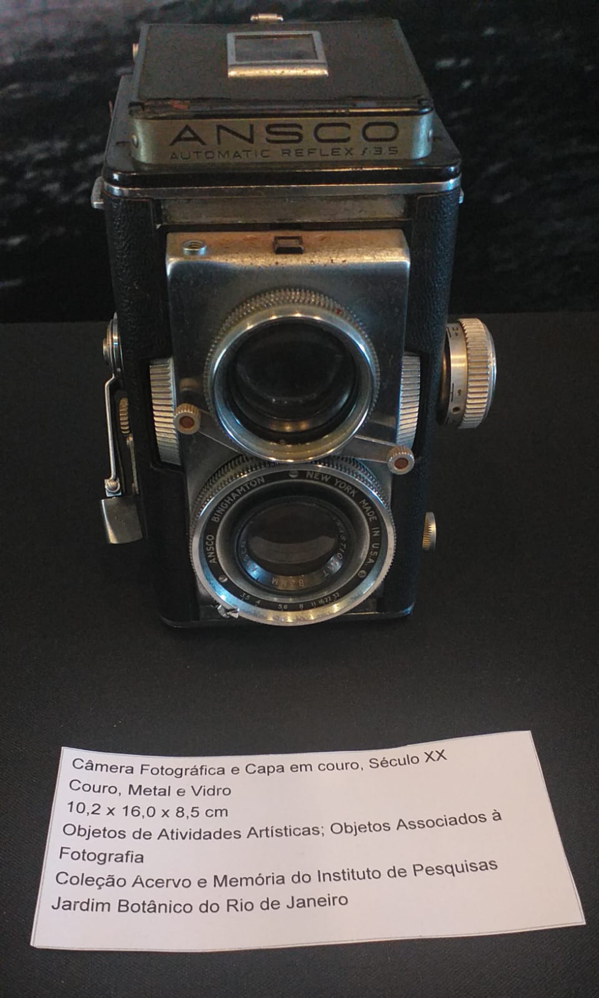 Jardim Botânico promove semana de atividades sobre o Pantanal - Divulgação